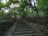 img0046.jpg