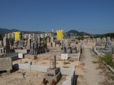 img0002.jpg