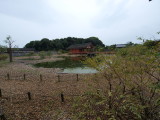 img0025.jpg