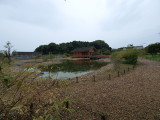 img0026.jpg
