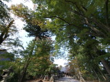 img0005.jpg