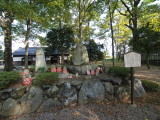 img0009.jpg