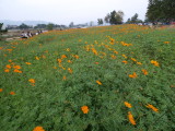 img0000.jpg