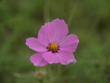 img0005.jpg