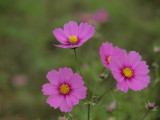 img0007.jpg