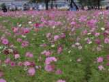img0009.jpg