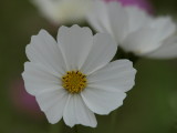 img0013.jpg