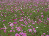 img0014.jpg
