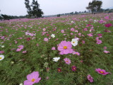 img0017.jpg