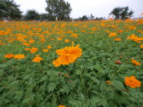 img0022.jpg