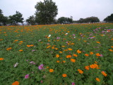 img0027.jpg