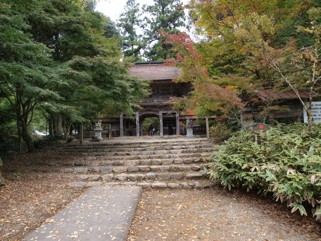 img0002.jpg