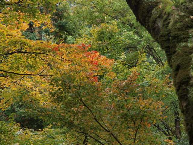 img0012.jpg