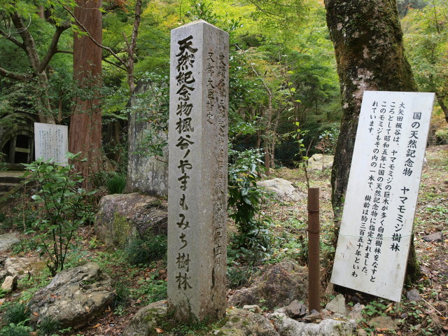 img0013.jpg
