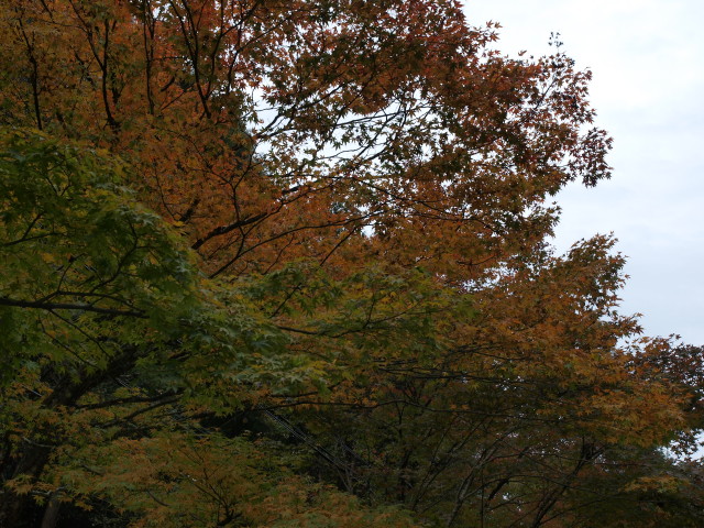 img0015.jpg