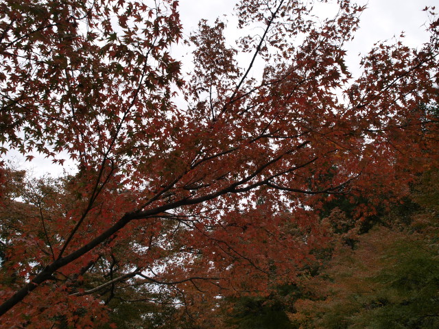 img0019.jpg