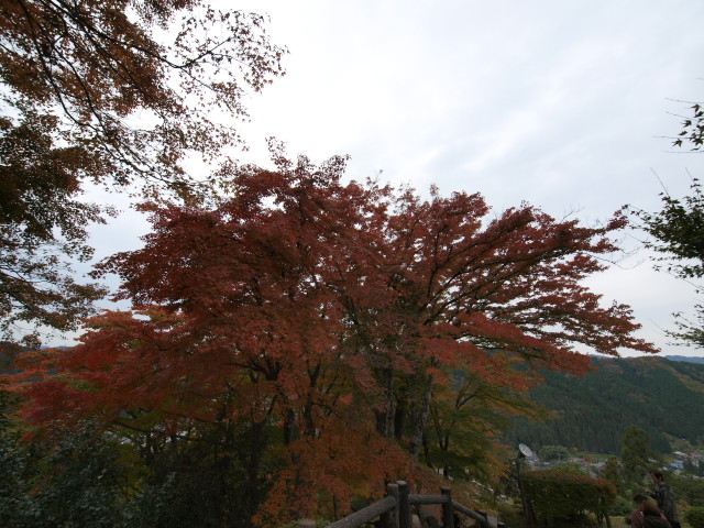 img0046.jpg