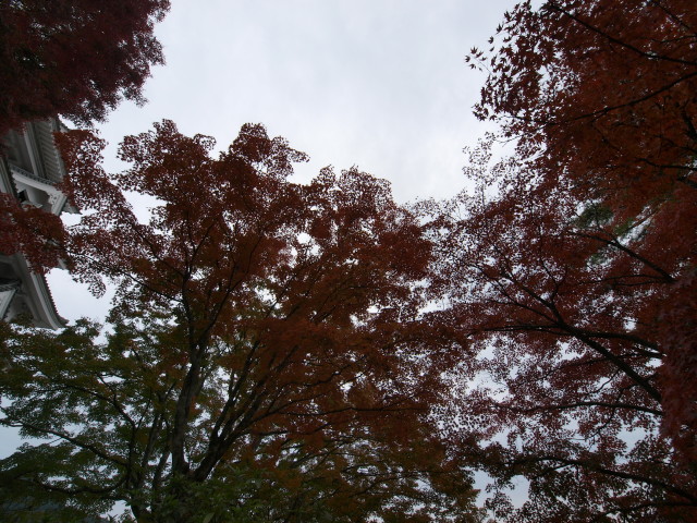 img0051.jpg