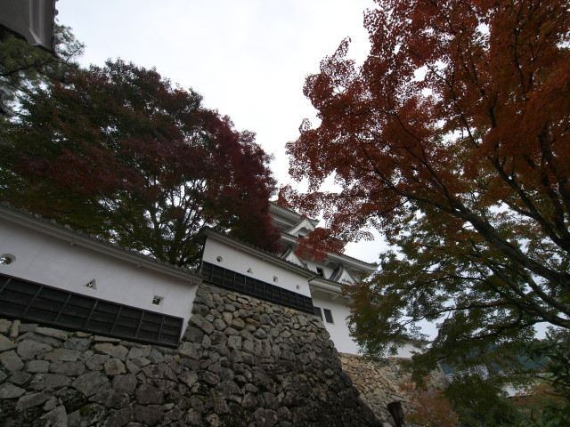 img0052.jpg