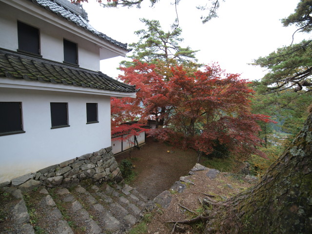 img0053.jpg
