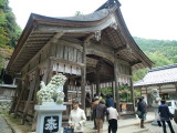 img0005.jpg
