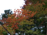 img0009.jpg