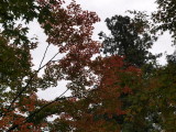 img0014.jpg