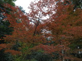 img0016.jpg