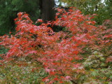 img0018.jpg