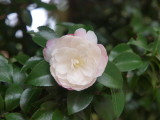 img0023.jpg