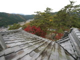 img0039.jpg