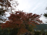 img0046.jpg