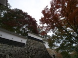 img0052.jpg