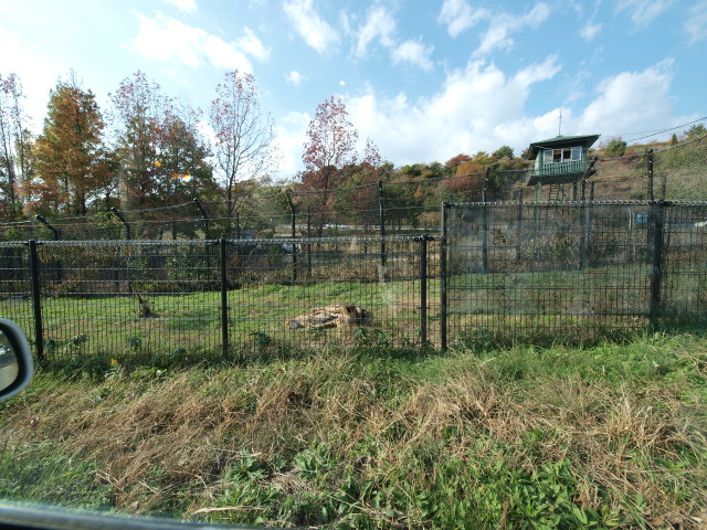 img0000.jpg