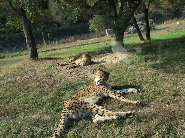 img0003.jpg