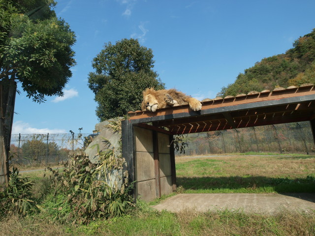 img0004.jpg