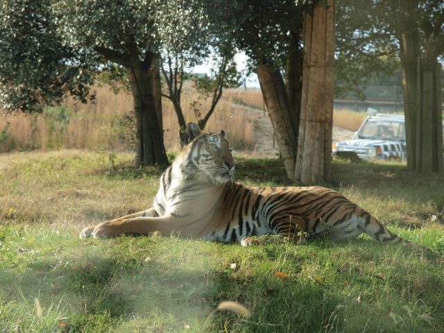 img0008.jpg