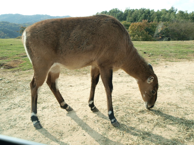 img0011.jpg
