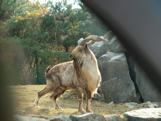 img0015.jpg