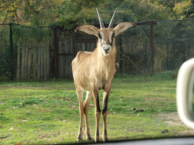 img0016.jpg