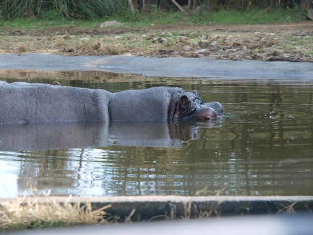 img0019.jpg