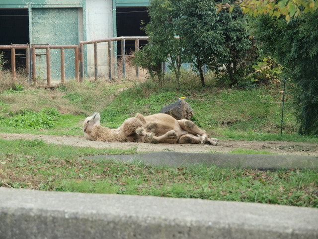 img0021.jpg