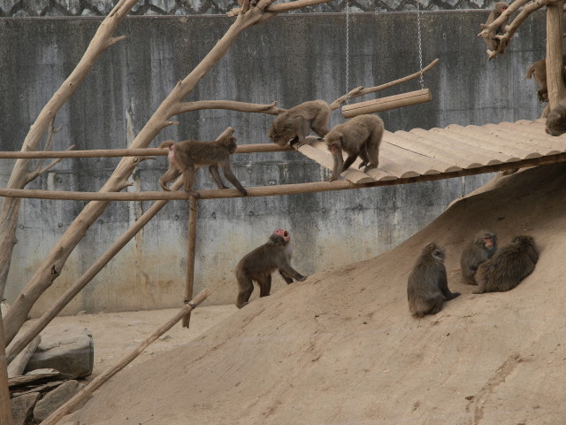 img0033.jpg