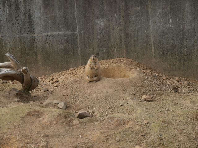 img0037.jpg
