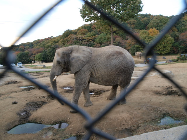 img0038.jpg