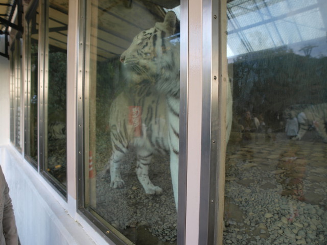 img0040.jpg