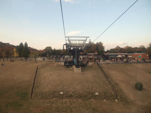 img0049.jpg