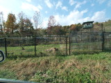img0000.jpg