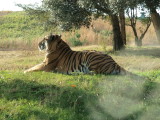 img0007.jpg