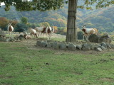 img0013.jpg